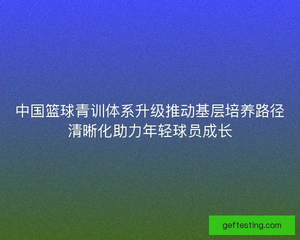 中国篮球青训体系升级推动基层培养路径清晰化助力年轻球员成长